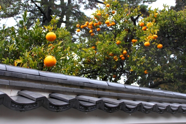 萩市陶芸の村公園周辺観光まとめ記事