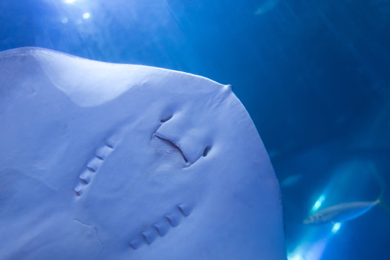 周防大島観光スポットイメージ