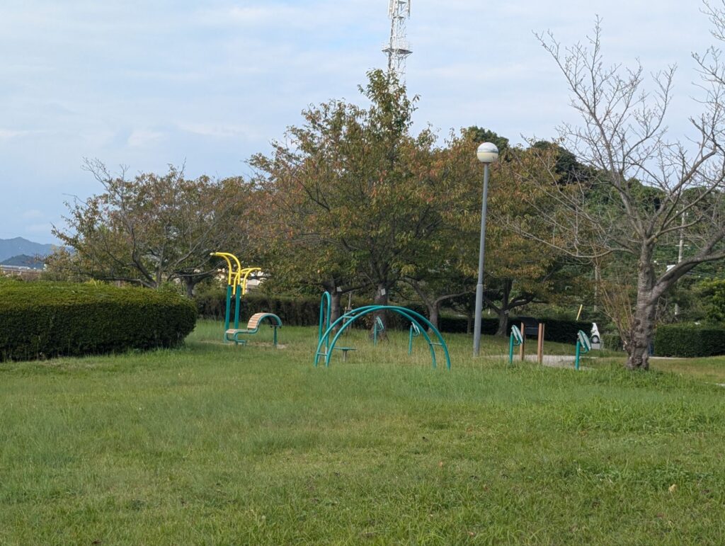 向島運動公園健康増進遊具
