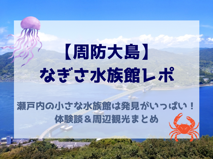 周防大島なぎさ水族館レポ記事